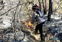 Perburuan Liar Diduga Jadi Penyebab Kebakaran Hutan di Gunung Arjuno