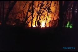 Kebakaran di Gunung Gandul Wonogiri, Lokasi Tengah Hutan Sulitkan Pemadaman