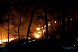 Kebakaran Hanguskan 30 Hektare Hutan dan Lahan Warga di Sendangijo Wonogiri