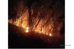 Pemadaman Hutan Lawu Dihentikan karena Alasan Keamanan meski Api Masih Berkobar