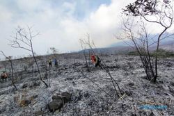 Ada Kebakaran Hutan, Jalur Pendakian Gunung Tertinggi Kedua di Jatim Ditutup