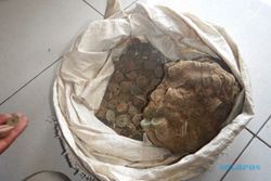 Cerita Penemuan Ribuan Koin Uang Kuno yang Bikin Heboh di Slogohimo Wonogiri
