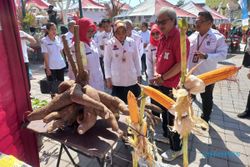 Nonton Yuk! Ada Singkong Raksasa hingga Drone di Pameran Pertanian MPP Klaten