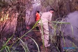 Api Masih Berkobar, 9 Hektare Hutan Lindung Gunung Lawu di Tawangmangu Terbakar