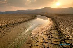 Mentan: Dampak El Nino bagi Sektor Pertanian Mengerikan!