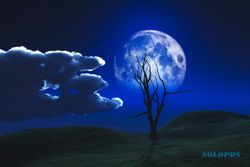 Mengenal Super Blue Moon yang Terjadi 30-31 Agustus 2023