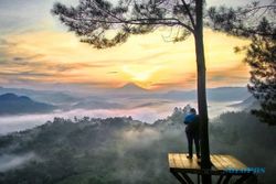 Tak Terjamah Polusi, Eloknya Menikmati Sunrise dari Bukit Pentulu Indah Kebumen