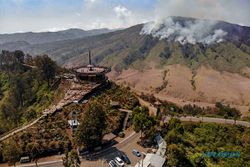 Kebakaran Hutan dan Lahan Gunung Bromo, Area Terbakar Capai 274 Hektare