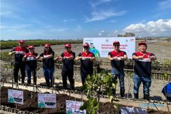 Astra Motor Tanam 10.000 Bibit Mangrove di Bali, Wujud Semangat Selamatkan Bumi
