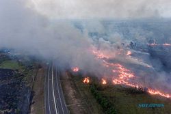 Penampakan Kebakaran Lahan Dekati Jalan Tol Trans Sumatra di Ogan Ilir