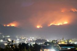 Kebakaran di Gunung Arjuno Jatim Meluas, Lahan Terbakar Capai 3.910 Hektare