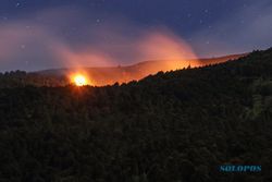 3 Hari, 160,61 Hektare Hutan di Gunung Baluran Jawa Timur Ludes Terbakar