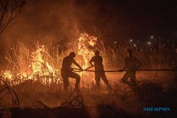 Upaya Petugas Berjibaku Padamkan Kebakaran Lahan di Pemulutan Ogan Ilir