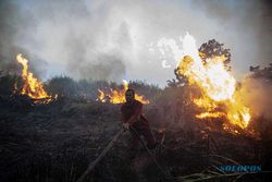 Kebakaran Lahan di Ogan Ilir, Jalur Palembang-Indralaya Diselimuti Kabut Asap
