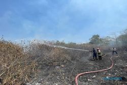 Sehari, Damkar Boyolali Tangani Kebakaran Lahan Sebanyak Tiga Kali