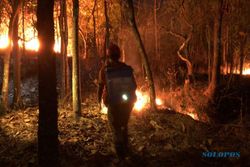 5 Hektare Lahan Warga Terbakar, BPBD Sukoharjo Siap Lakukan Penegakan Hukum