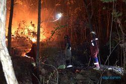 Kebakaran Lahan di Sukoharjo Kian Sering, Damkar Tiap Hari Terima Panggilan