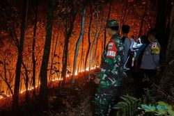 Duh, 2 Hektare Kebun Jati di Jambeyan Sragen Ludes Terbakar