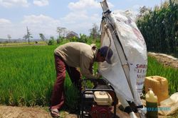 Petani Boyolali Keluarkan Rp500.000/Pekan untuk Airi Sawah Tadah Hujan