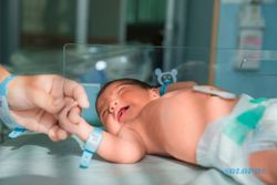 Pembuang Bayi di Bandara Ngurah Rai Ternyata Ibu Kandung, Ditangkap di Semarang