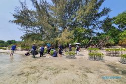 Dukung Upaya Bebas Emisi Karbon, BRI Tanam Bibit Mangrove di Pulau Tidung