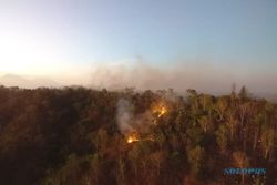 Kebakaran di Bukit Cemoro Sewu Bayat Klaten, Hutan Seluas 8,5 Ha Dilalap Api