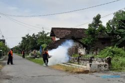 Waspada! Dua Bocah di Ngawi Meninggal Gara-gara Terjangkit DBD