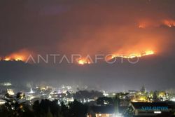2 Pekan Kebakaran, 916 Hektare Lahan di Gunung Arjuno Wilayah Batu Ludes