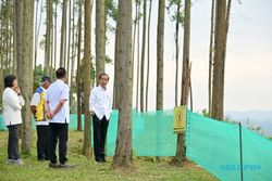 Jokowi dan Sejumlah Menteri Nikmati Udara Pagi di Ibu Kota Nusantara