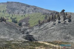 Ngeri, Kerugian Akibat Kebakaran di Gunung Bromo Mencapai Rp5,4 Miliar