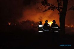 Kebakaran Dekat Kebun Raya Indrokilo Boyolali, Penyebabnya Orang Bakar Lahan