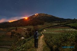 Tangani Kebakaran di Gunung Sumbing Wonosobo, Ganjar Minta Helikopter BNPB