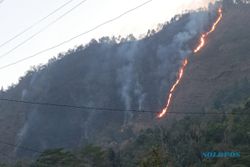 Api di Lereng Gunung Kelir Semarang Padam, Mobil Damkar Disiagakan