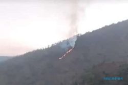 Breaking News! Hutan Gunung Merbabu Kebakaran, Titik Api di Guwolelo Boyolali