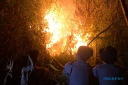 Padam Setelah 24 Jam, 10 Ha Hutan Lindung Gunung Lawu Telanjur Hangus Terbakar