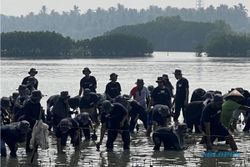 Jaga Lingkungan Cegah Abrasi, Paragon Corp Tanam Mangrove di Tangerang