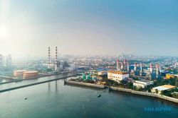 Siap-siap! PLN Jadi Raksasa Pelaku Carbon Trading di Bursa Karbon Indonesia