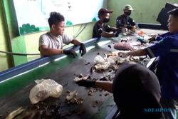 Kampung Wirausaha Maggot Pati Jateng Olah 11 Ton Sampah Organik sejak 2021