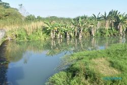 Kemarau Panjang, Petani Manfaatkan Air di Bendung Bagor Juwiring Klaten
