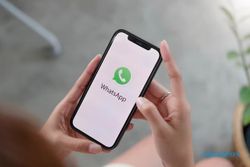 Mengenal Apa Itu WhatsApp Aero dan Bedanya dengan WhatsApp Biasa