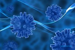 Kemenkes Ingatkan Tingginya Risiko Penyebaran Virus Nipah