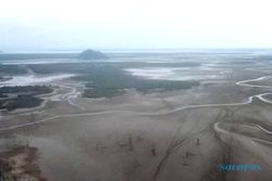 Danau Sentarum Jantung Kalimantan Mengering, Warga Kesulitan Air Bersih