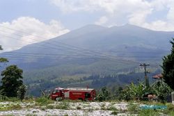 Kebakaran Gunung Merbabu, TNGMb: Tak Ada Hewan Liar Turun Gunung