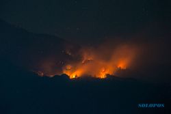 Kebakaran Gunung Lawu Belum Padam hingga Hari ke-7, Hutan Seluas 100 Ha Ludes