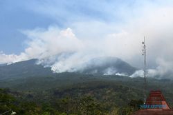 Kebakaran Hutan Gunung Lawu, Area Terbakar Meluas Hingga 150 Hektare