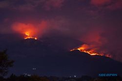 Api Belum Padam, 150 Hektare Lahan di Gunung Lawu Terbakar