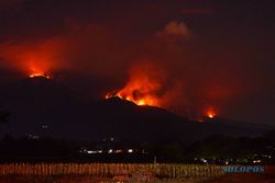 Penampakan Titik Api Kebakaran Hutan di Gunung Lawu