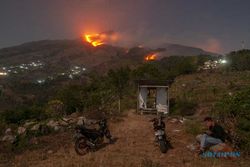 Terkuak! Penyebab Gunung Merbabu Jawa Tengah Kebakaran