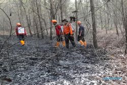 Alas Karet di Kedawung Sragen Terbakar, Sempat Bikin Panik Warga