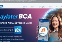 Jumlah Nasabah Paylater BCA Naik 70%, Capai 89.000 Pengguna
